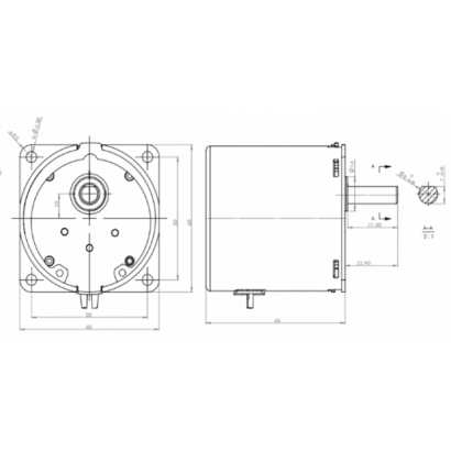 60TYD  Synchronous Motor  